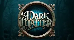 A dark matter
