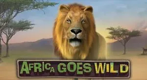Africa goes wild