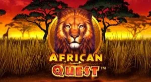 African quest