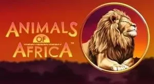 Animals of africa