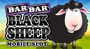 Bar bar blacksheep