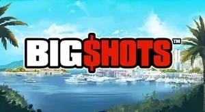 Big shots