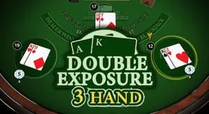 Blackjack double exposure 3 hand