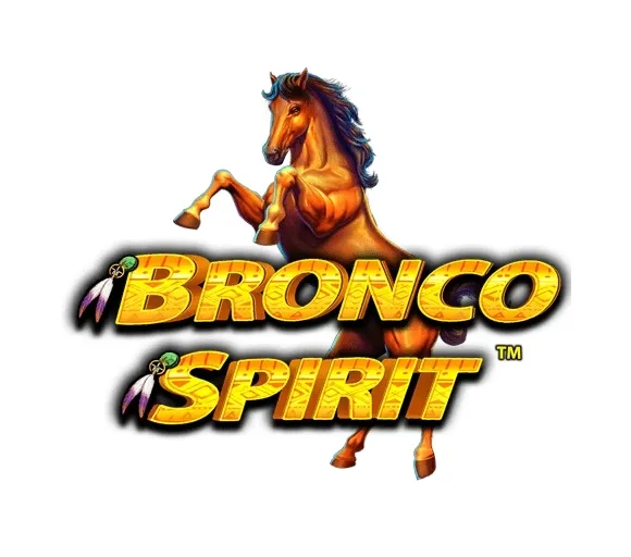 Bronco spirit