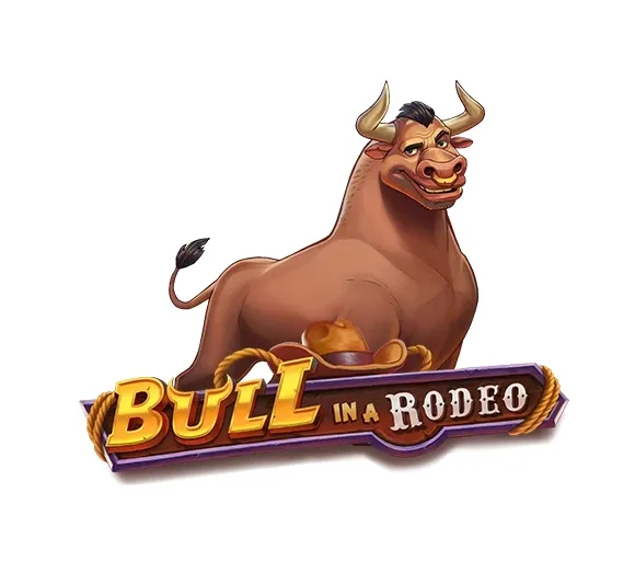 Bull in a Rodeo