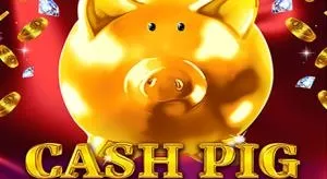 Cash pig