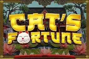 Cat's fortune