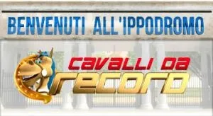 Cavalli da record