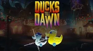 Ducks till dawn