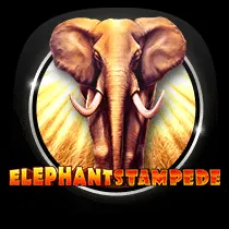 Elephant Stampede