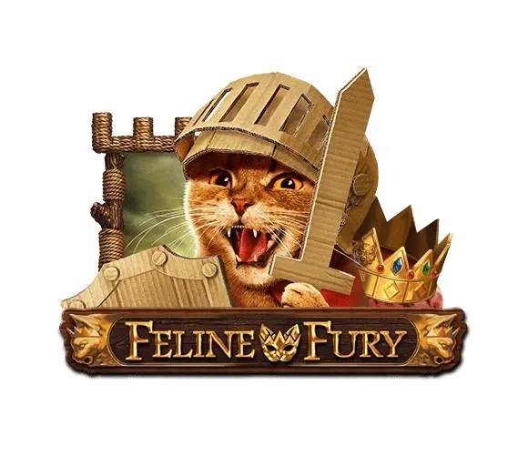 Feline fury