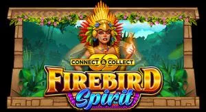 Firebird spirit connect and collect