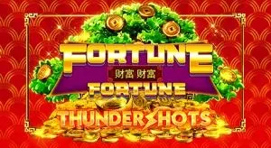 Fortune fortune thundershots