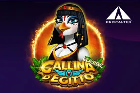 Gallina d'Egitto Classic