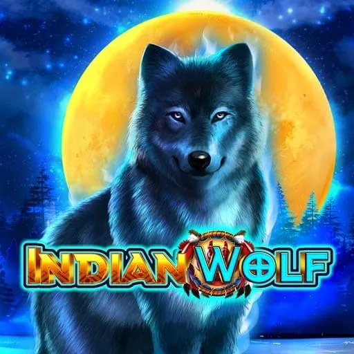Indian Wolf
