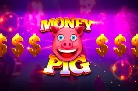Money pig