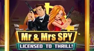 Mr and mrs spy