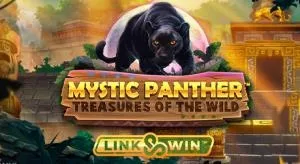 Mystic panther treasures of the wild