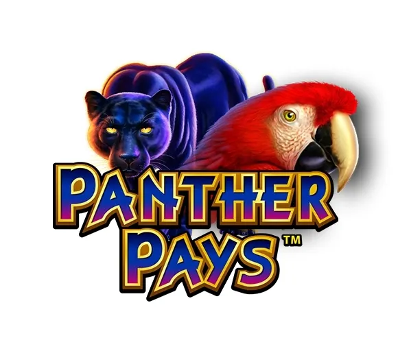 Panther pays