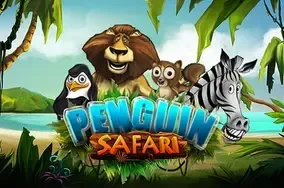Penguin safari