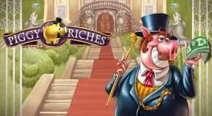 Piggy riches