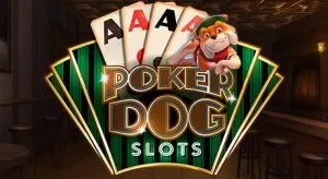 Poker dogs