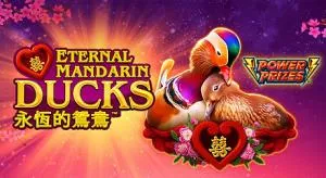 Power prizes eternal mandarin ducks