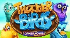 Power Zones: Thunder Birds