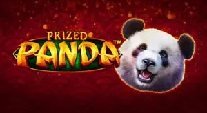 Prized panda