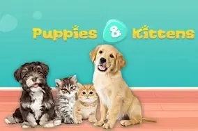 Puppies and kittens