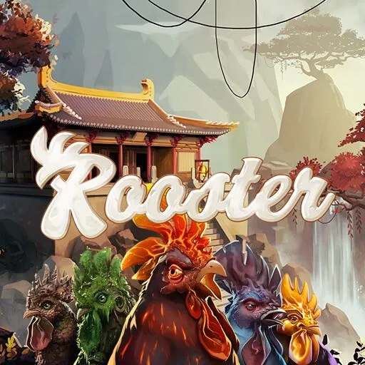 Rooster