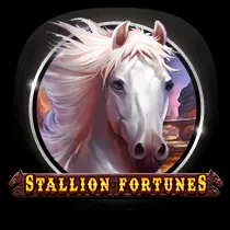 Stallion Fortunes