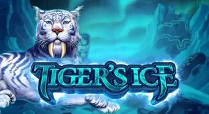 Tiger's ice