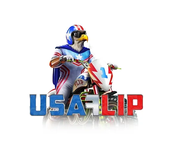 Usa flip