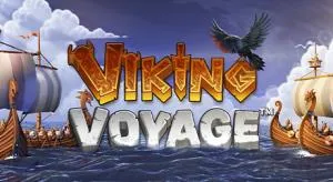Vikings voyage