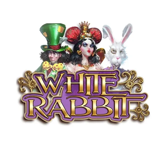 White rabbit