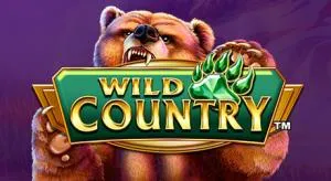 Wild country