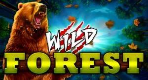Wild forest