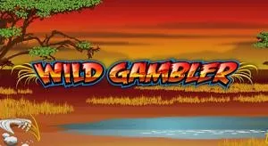 Wild gambler