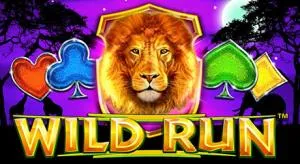 Wild run