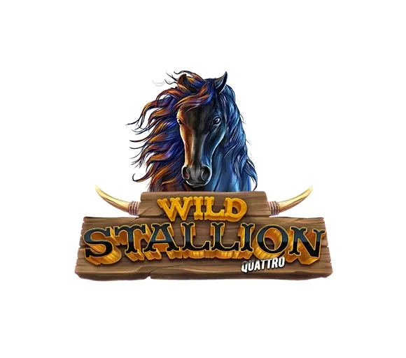 Wild stallion