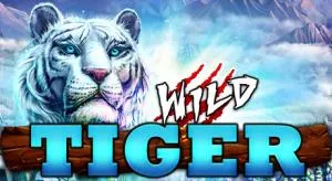 Wild tiger