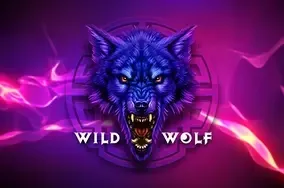 Wild wolf