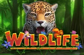 Wildlife