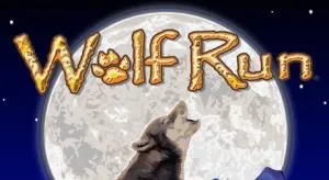 Wolf run