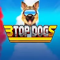 3 Top Dogs