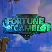 Camelot's Fortune