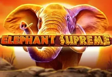 Elephant supreme