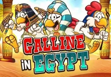 Galline in egypt