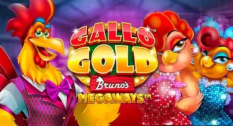 Gallo gold Bruno Megaways™
